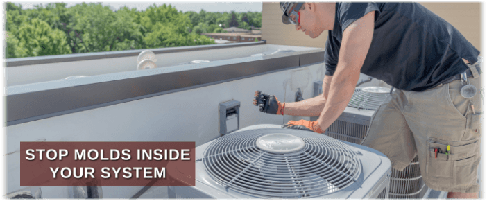 HVAC Mold Removal DC